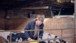 Farm Excellence: Dairy